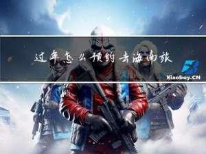 过年怎么预约去海南旅游