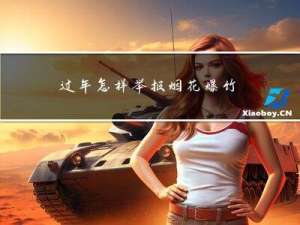 过年怎样举报烟花爆竹违法