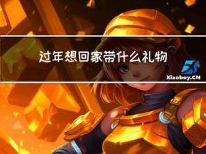 过年想回家带什么礼物
