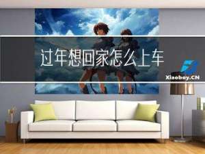 过年想回家怎么上车