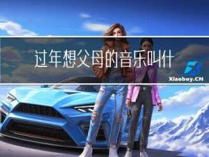 过年想父母的音乐叫什么