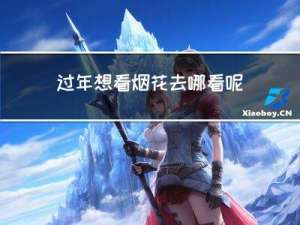 过年想看烟花去哪看呢