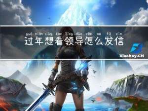 过年想看领导怎么发信息