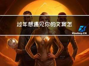 过年想遇见你的文案怎么写