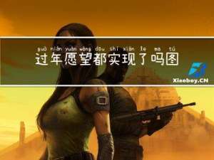 过年愿望都实现了吗图片