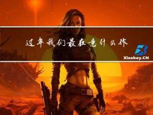 过年我们最在意什么作文