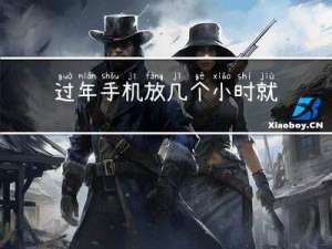过年手机放几个小时就坏了