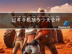 过年手机放多少天会坏