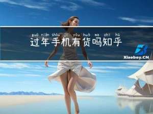 过年手机有货吗知乎