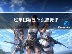 过年扫墓是什么感觉作文