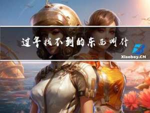 过年找不到的东西叫什么