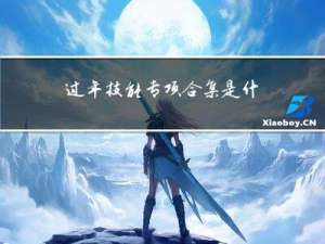 过年技能专项合集是什么