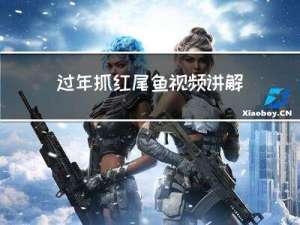 过年抓红尾鱼视频讲解