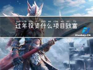 过年投资什么项目致富