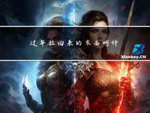 过年拉回来的东西叫什么