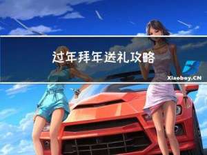 过年拜年送礼攻略