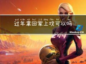 过年拿回家上坟可以吗