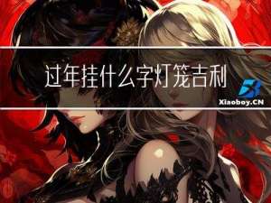 过年挂什么字灯笼吉利
