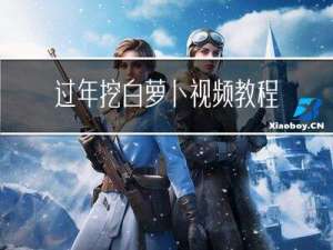 过年挖白萝卜视频教程