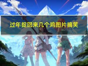 过年捉回来几个鸡图片搞笑