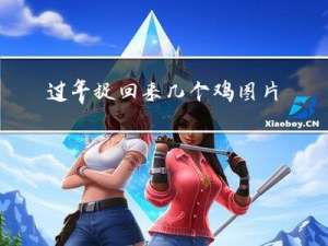 过年捉回来几个鸡图片