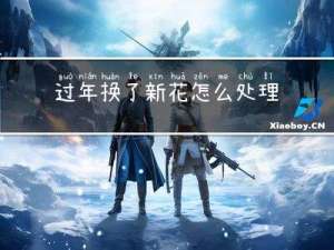 过年换了新花怎么处理好