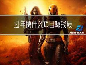过年搞什么项目赚钱最快
