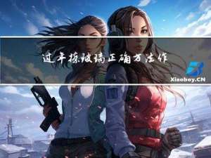 过年擦玻璃正确方法作文