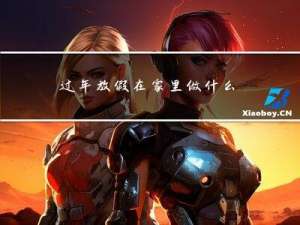 过年放假在家里做什么