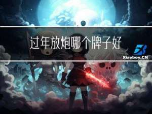 过年放炮哪个牌子好