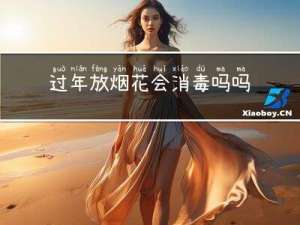 过年放烟花会消毒吗吗