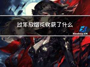过年放烟花收获了什么作文