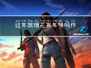 过年放烟花有年味吗作文