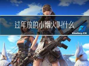 过年放的小烟火叫什么火