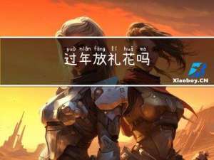 过年放礼花吗