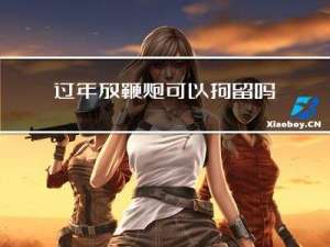 过年放鞭炮可以拘留吗