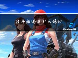 过年旅游买什么保险