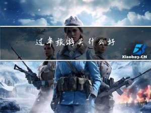 过年旅游买什么好