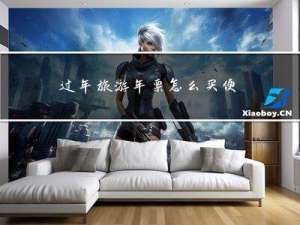 过年旅游年票怎么买便宜