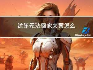 过年无法回家文案怎么写