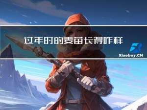 过年时的麦苗长得咋样