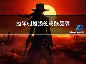 过年时返场的皮肤品牌