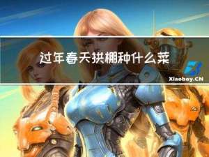 过年春天拱棚种什么菜