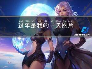 过年是我的一天图片