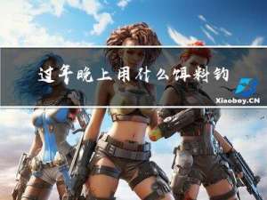 过年晚上用什么饵料钓鱼