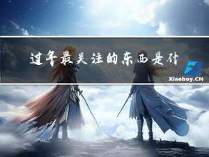 过年最关注的东西是什么