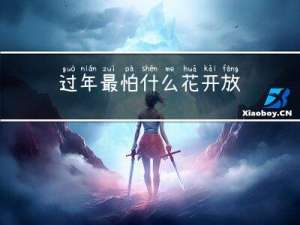 过年最怕什么花开放