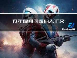 过年最想回家的人作文