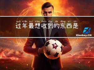 过年最想收到的东西是什么