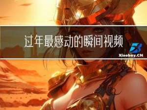 过年最感动的瞬间视频